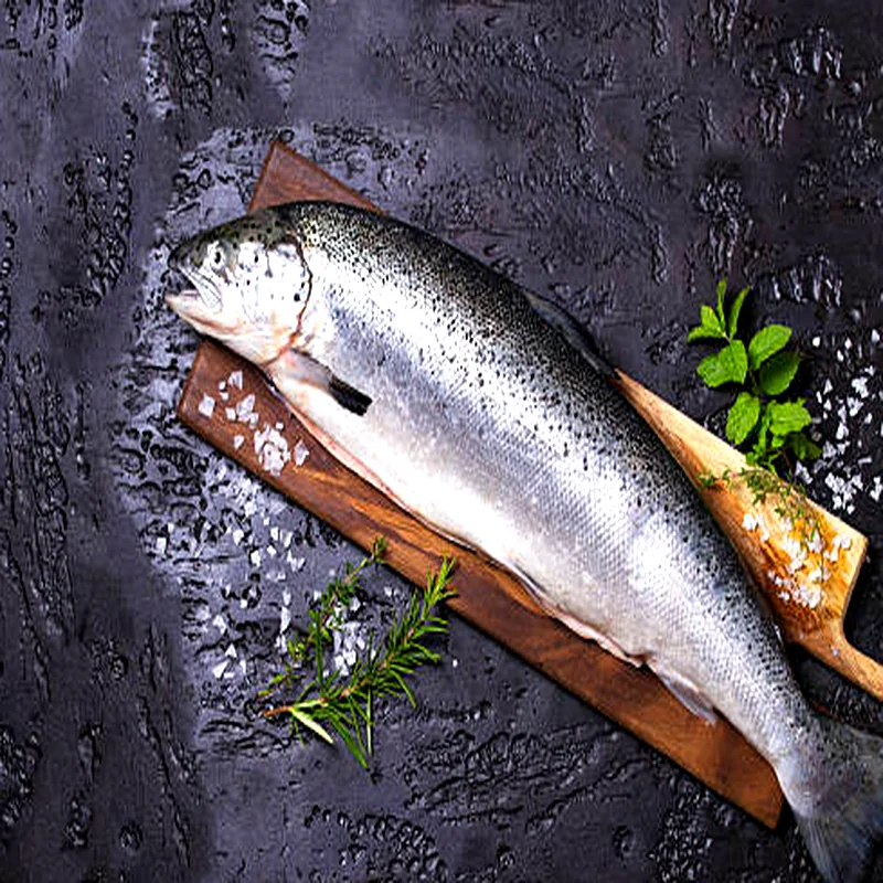 Fresh Atlantic salmon whole fish on a cutting board with herbs, premium seafood for wholesale distribution.
