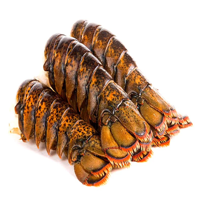Premium frozen Boston lobster tails with rich shell color and thick white meat, prepared for wholesale seafood supply.