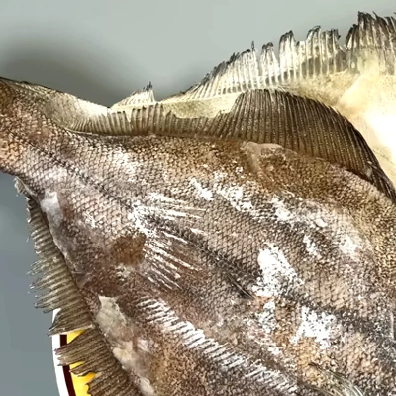 Fresh halibut fish fillet and whole fish for wholesale seafood supply