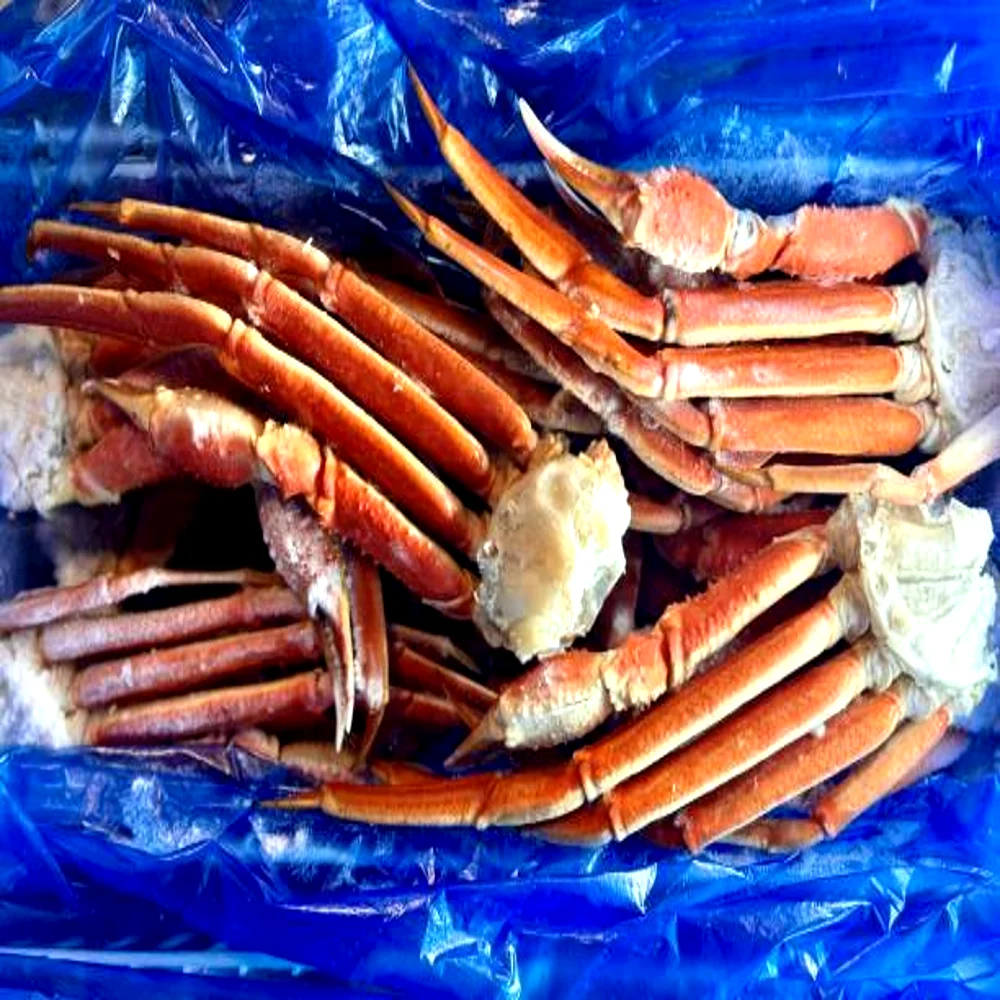 Frozen snow crab legs packed in bulk box for wholesale seafood export