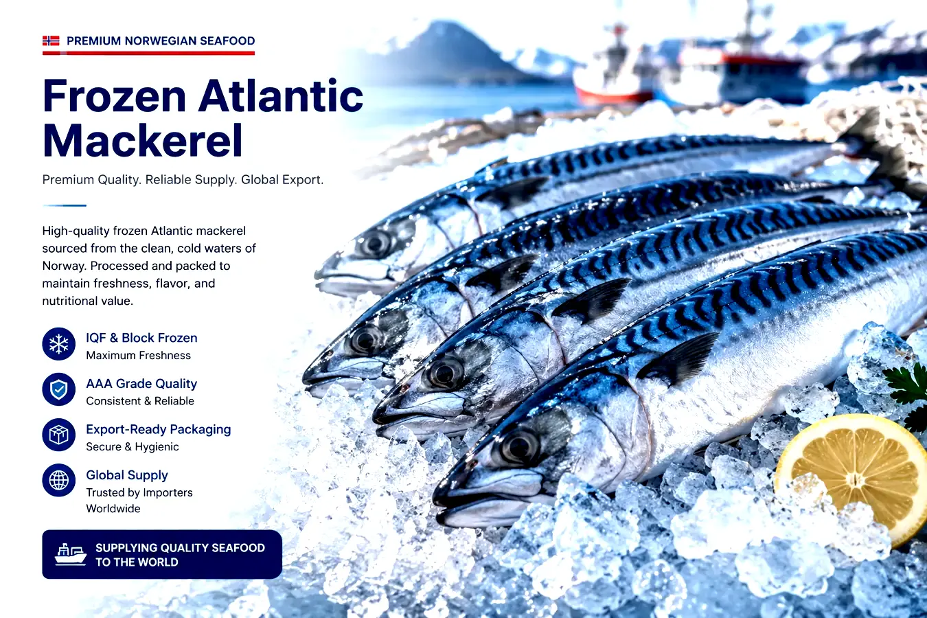 Premium frozen Atlantic mackerel displayed on ice for wholesale seafood export