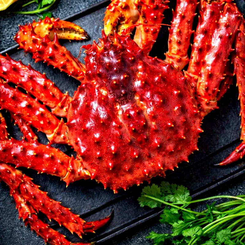 Live Norwegian Red King Crab for wholesale export packed under HACCP cold chain control