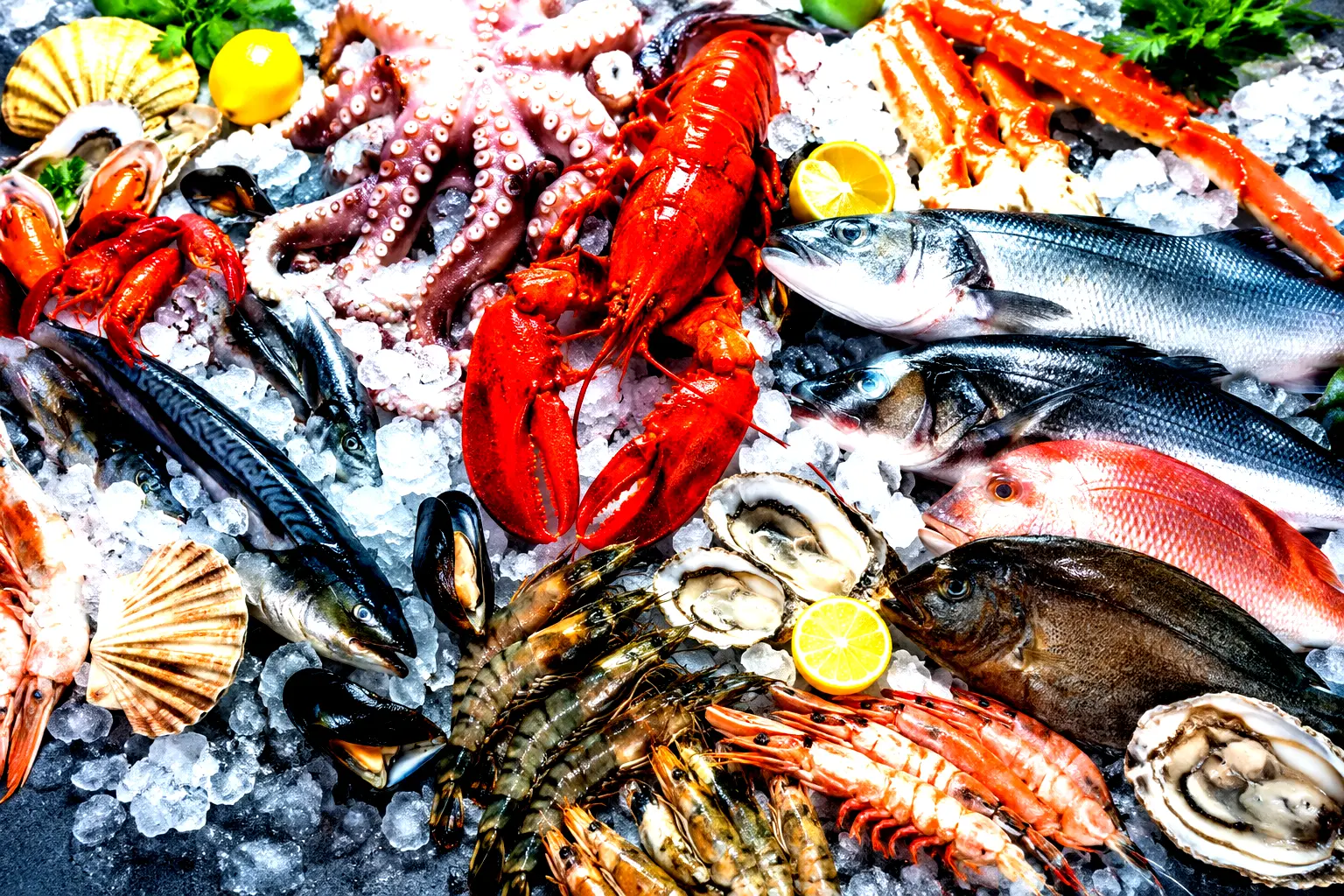 Assorted frozen seafood products for wholesale seafood export and global distribution