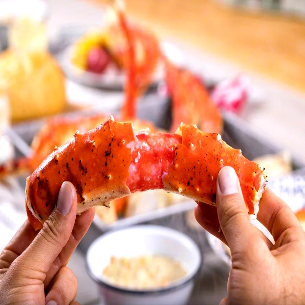 Close-up of fresh king crab leg meat held by hand showing texture and quality