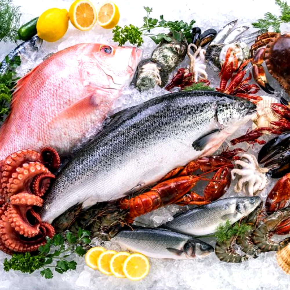 Fresh seafood assortment with salmon, red fish, shrimp, octopus, and shellfish on ice