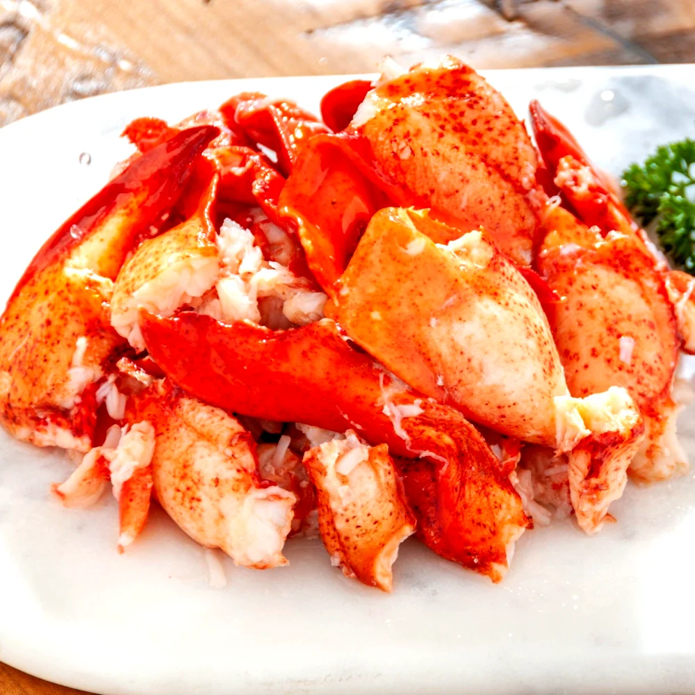 Fresh premium lobster meat pieces on plate for wholesale seafood distribution
